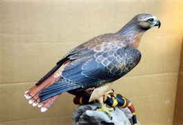 Gibain "The Opportunists," Red-Tailed Hawk with Coral and King Snakes